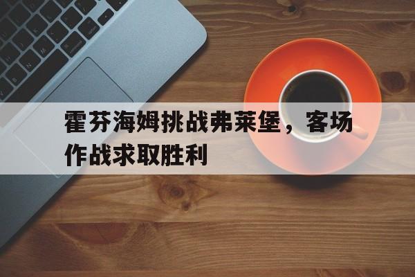 霍芬海姆挑战弗莱堡，客场作战求取胜利的简单介绍
